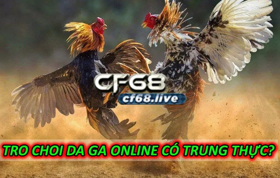 Tro Choi Da Ga Online Có Trung Thực?