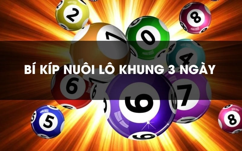 Nuôi lô cặp khung 3 ngày nhanh và hiệu quả nhất