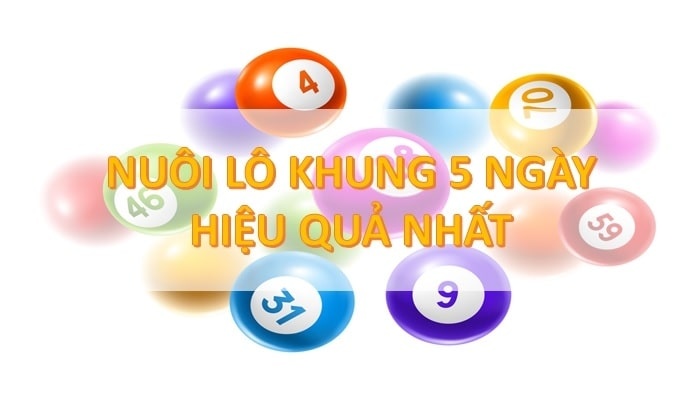 Nuoi lo kep khung 5 ngay – kinh nghiệm truyền lại từ các cao thủ