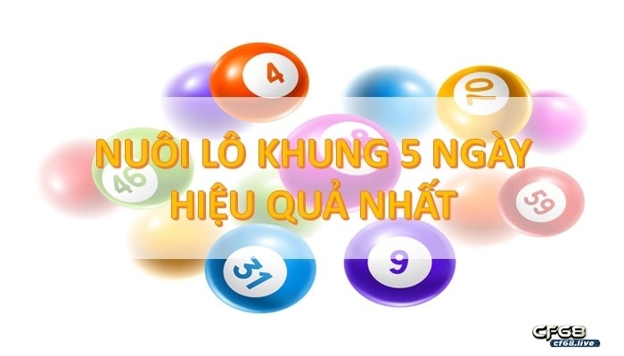 Cập nhật những kinh nghiệm nuoi lo kep khung 5 ngay cho lô thủ mới nhất