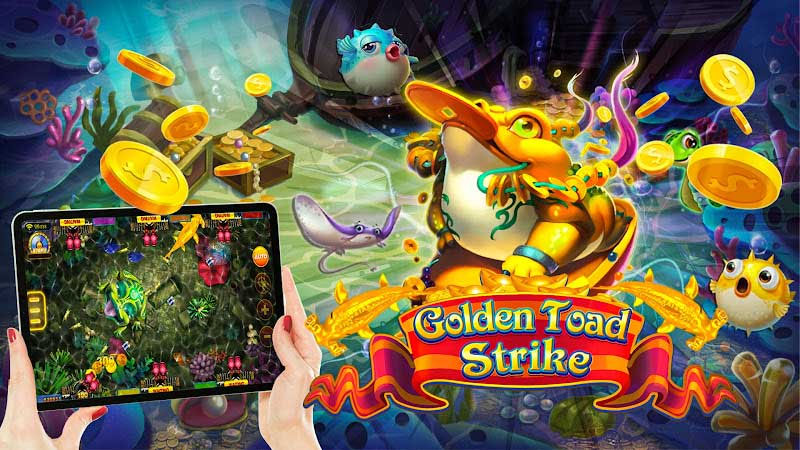 Golden Toad có sự kết hợp may mắn rất được yêu thích