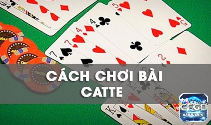 Thuật ngữ bài Catte và cách chơi bài Catte chi tiết