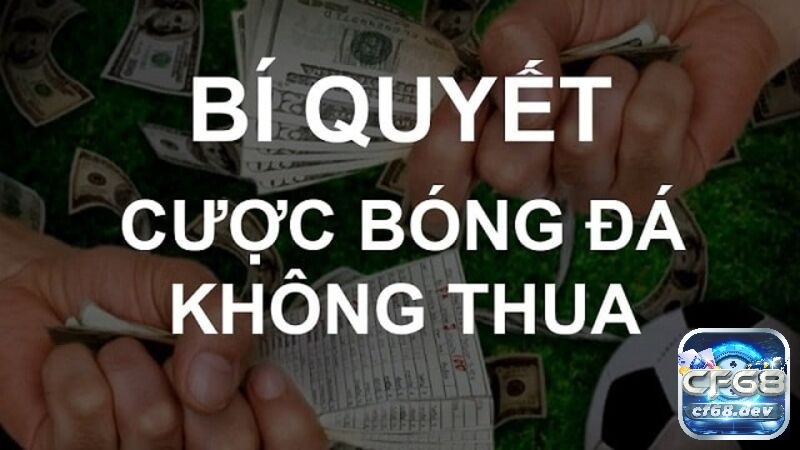 Cách chơi cá độ bóng đá không thua có tỷ lệ thắng cao nhất